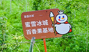 今日上市！覆蓋全球六大洲38個國家，“雪王”的采購網(wǎng)到底有多牛？