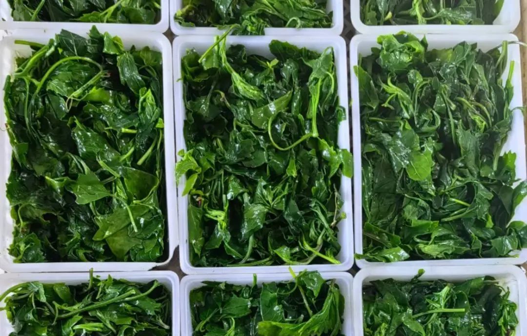 1756278233763213.jpg 1756278233763213.jpg