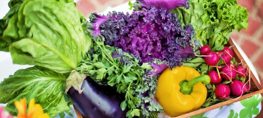 不要小看“兩歲的西蘭花”！冷凍蔬菜承載從田間到餐桌的供應鏈革命